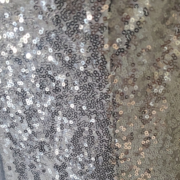 No Boundaries Silver Sequin Mini Dress - Picture 8 of 11
